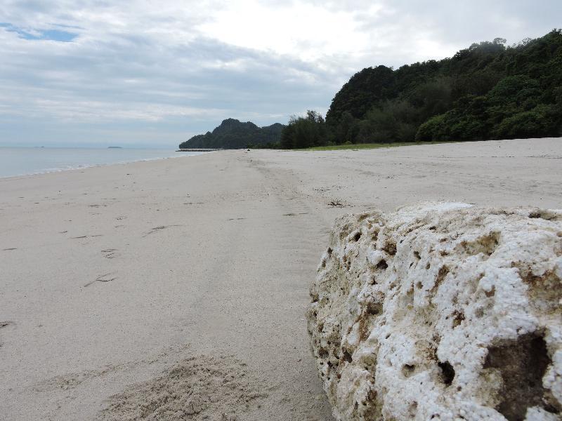 Lone Pine, Penang, A Tribute Portfolio Resort Batu Feringgi Εξωτερικό φωτογραφία